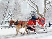 Tour America - Christmas Shopping special. New York from only €454pp